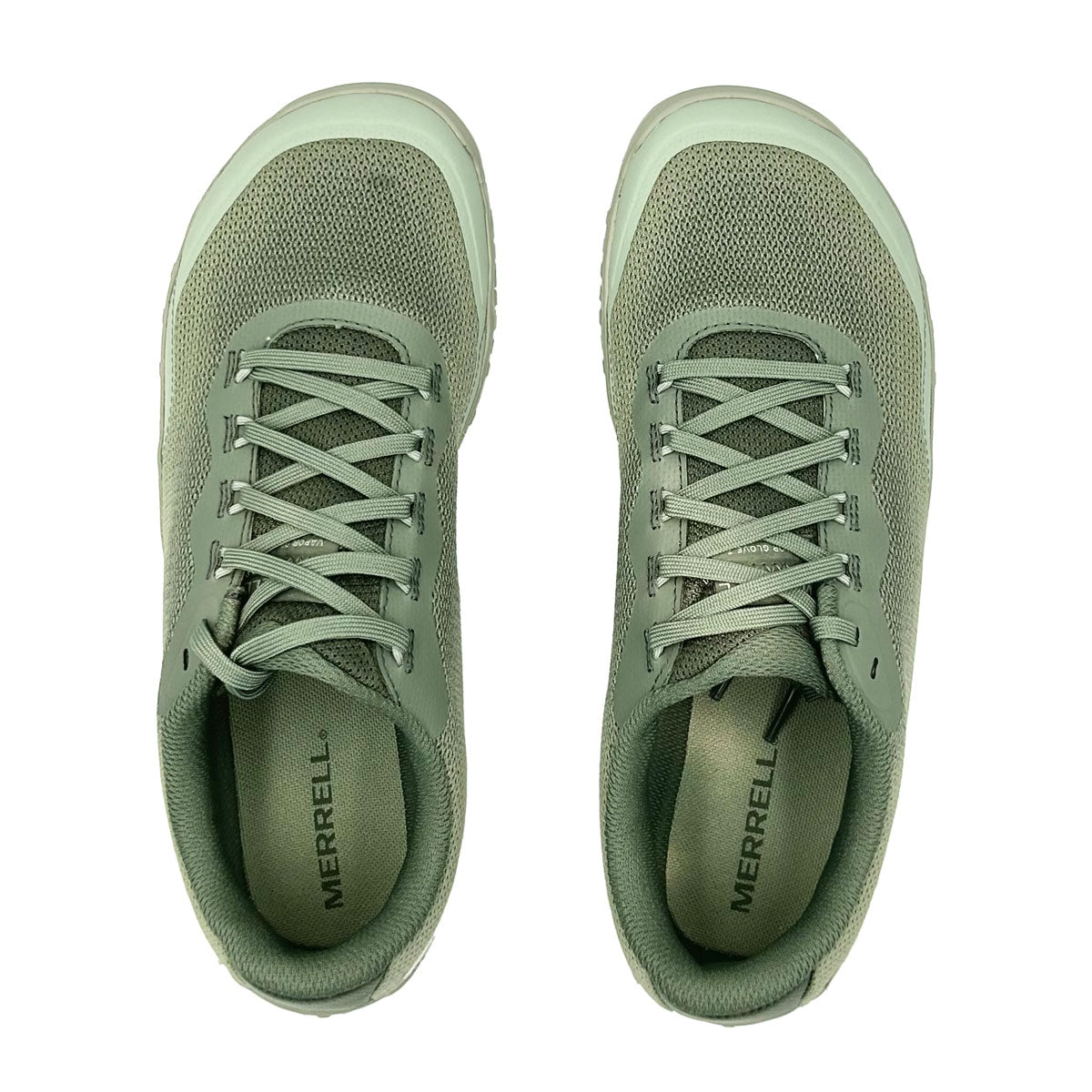 #カラー_WHITE SAGE ホワイト セージ