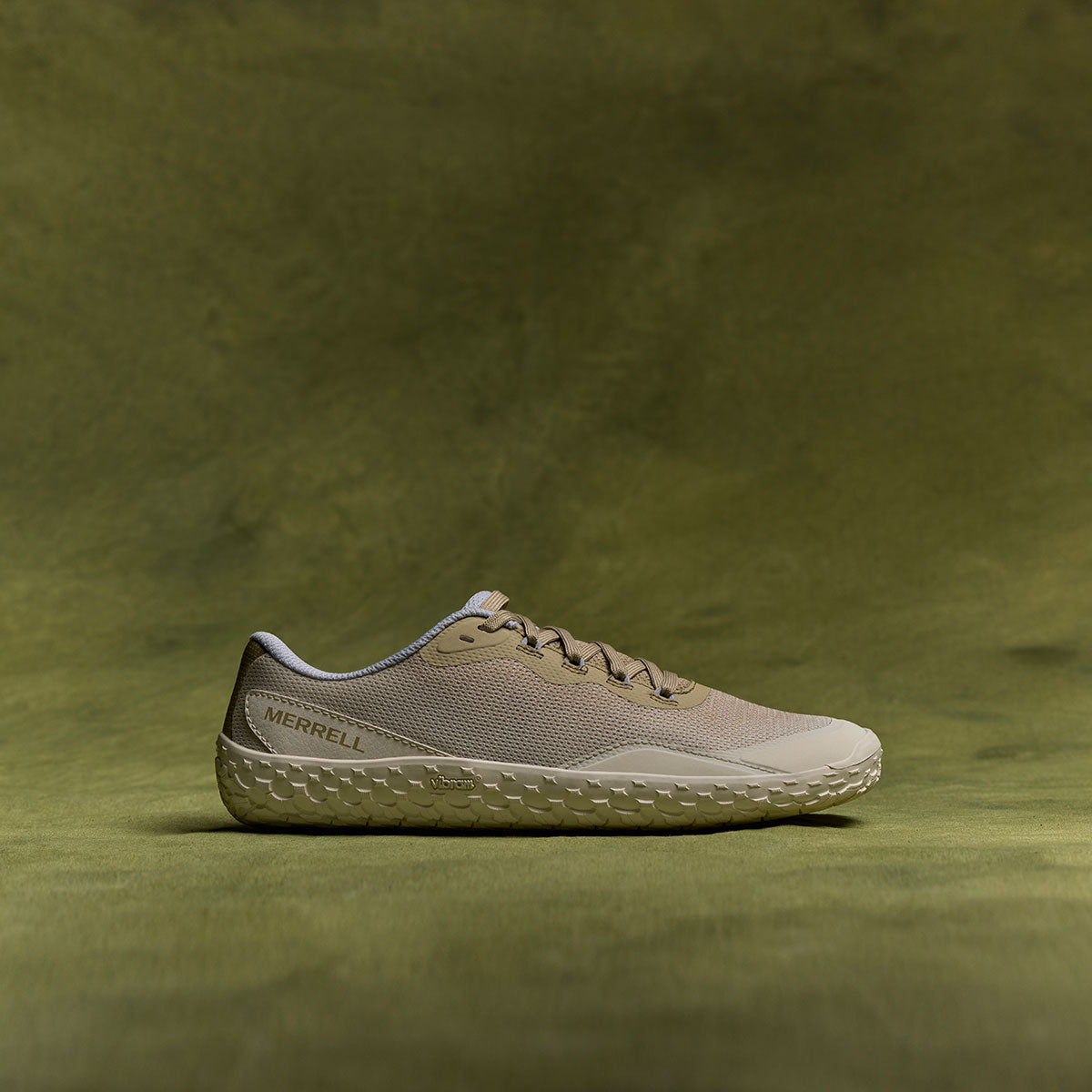 #カラー_STUCCO/CASPER スタッコ/キャスパー