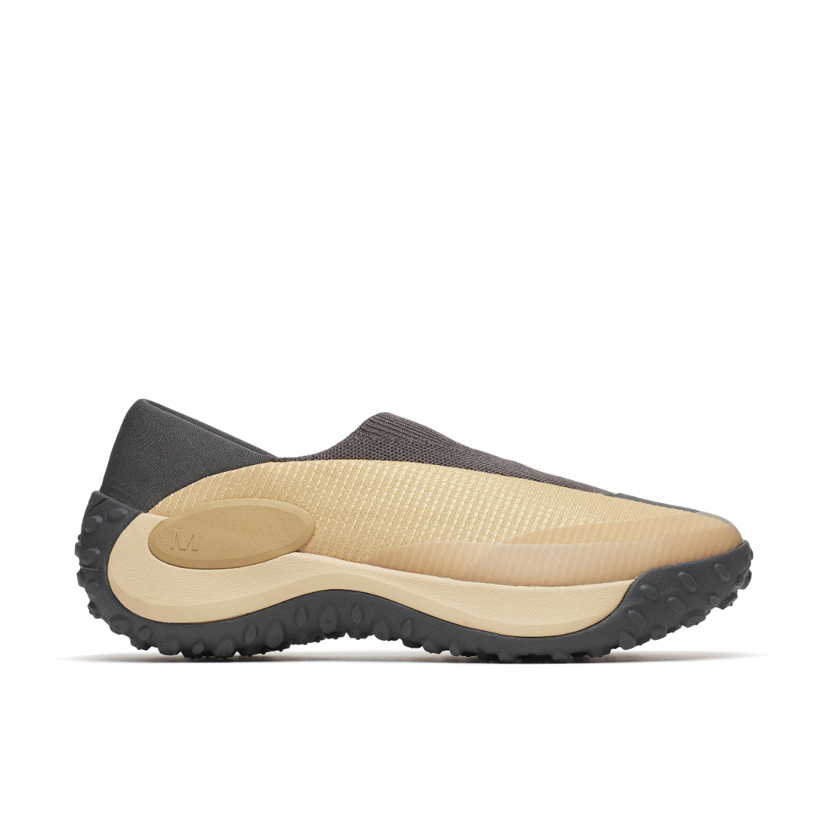 #カラー_LATTE ラテ