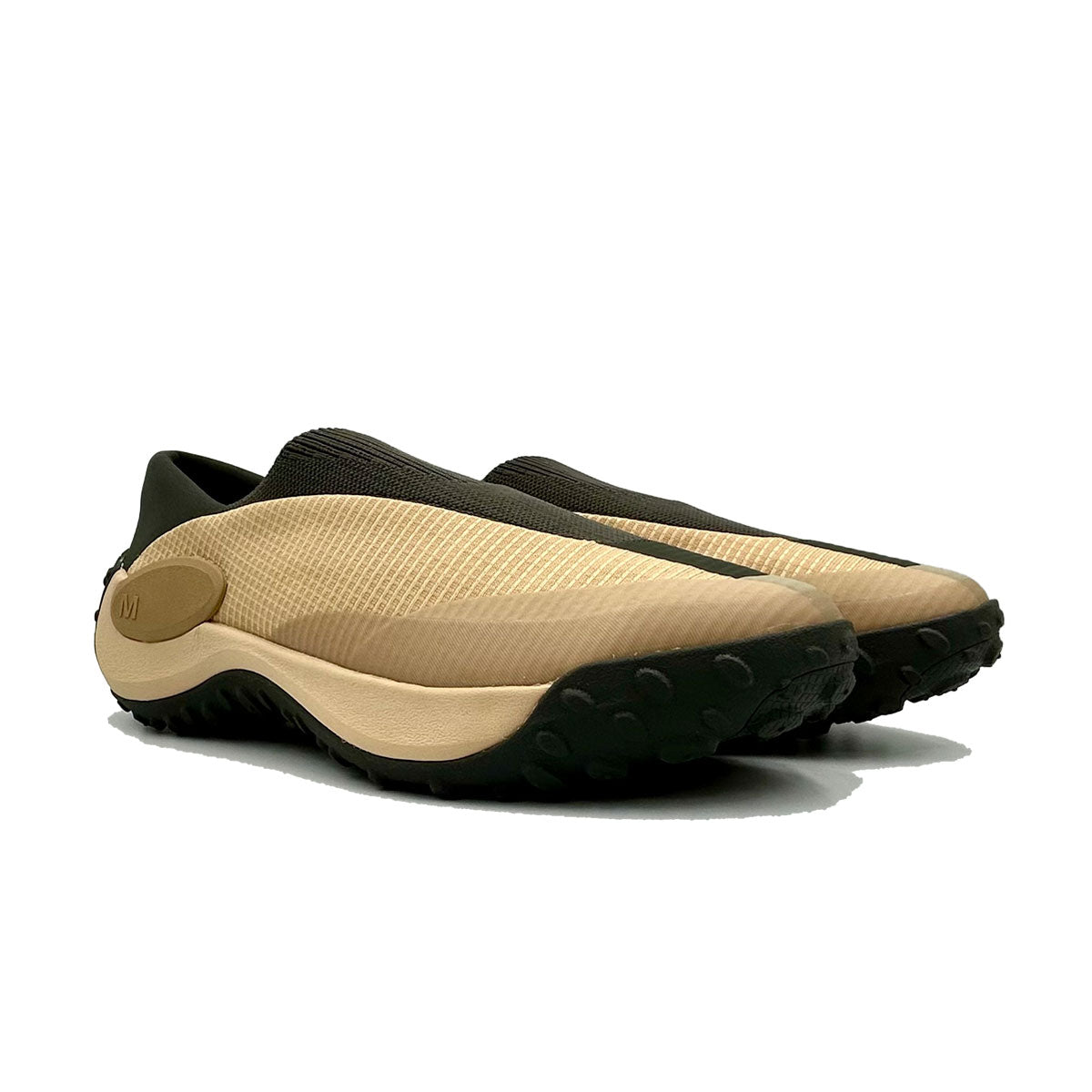 #カラー_LATTE ラテ