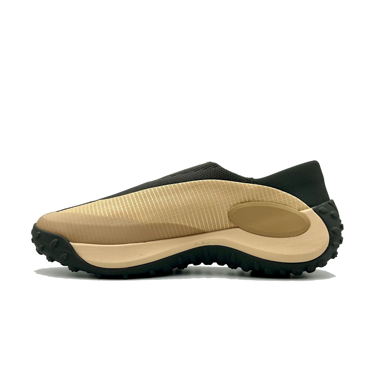 #カラー_LATTE ラテ