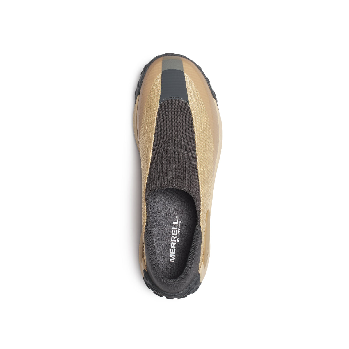 #カラー_LATTE ラテ