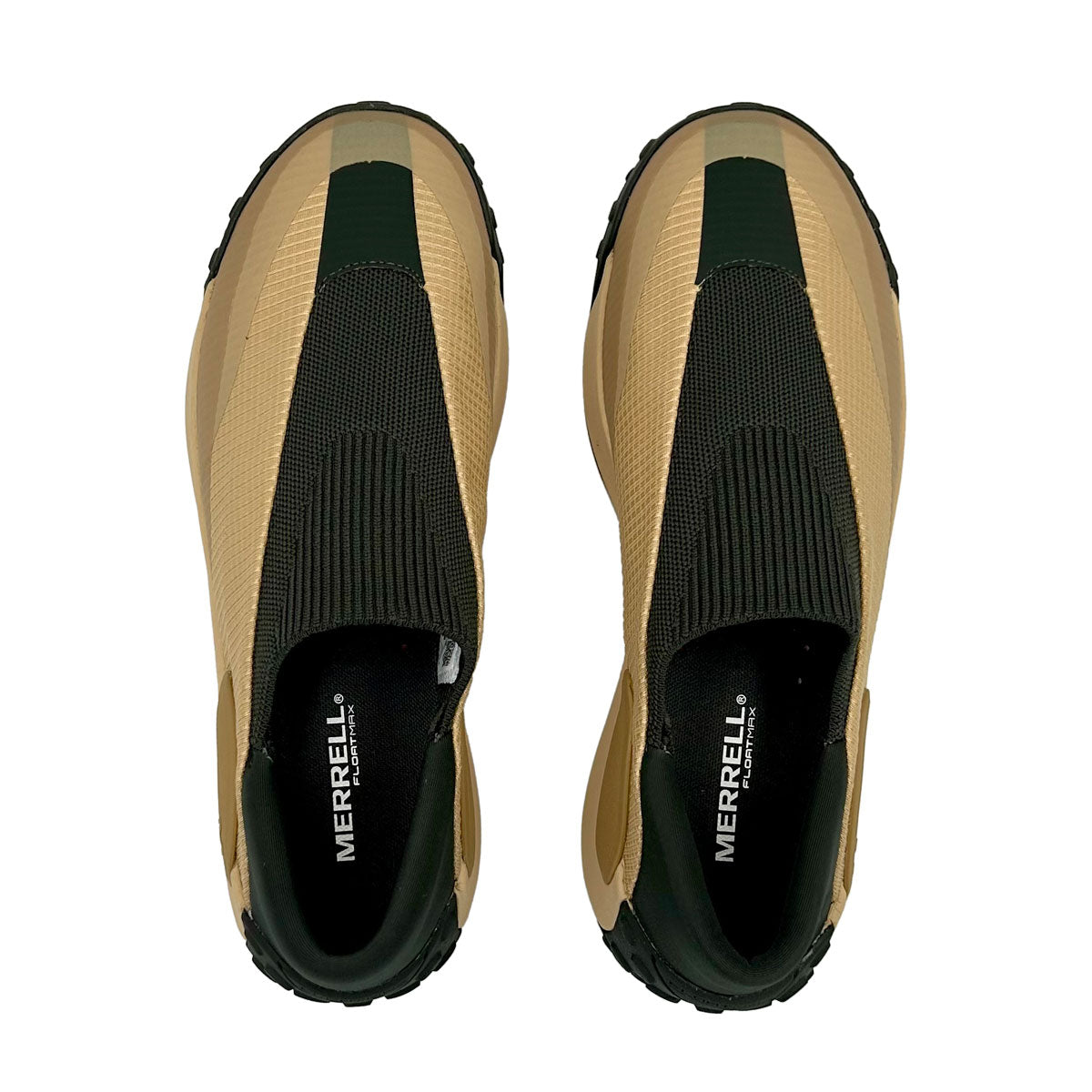 #カラー_LATTE ラテ