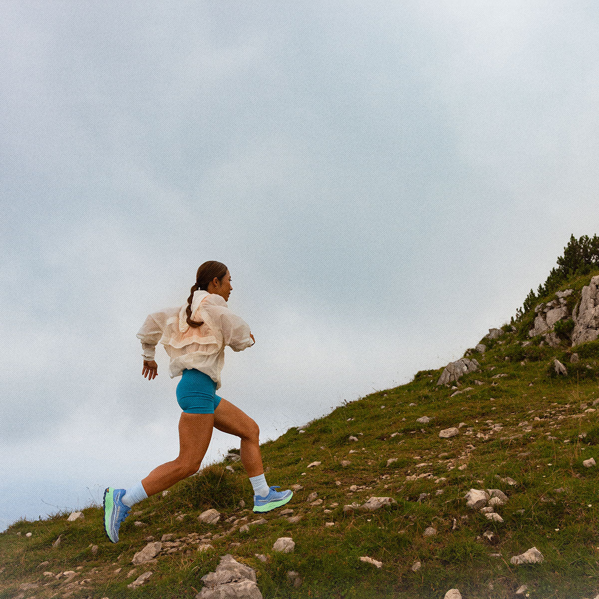 #カラー_ADMIRAL アドミラル