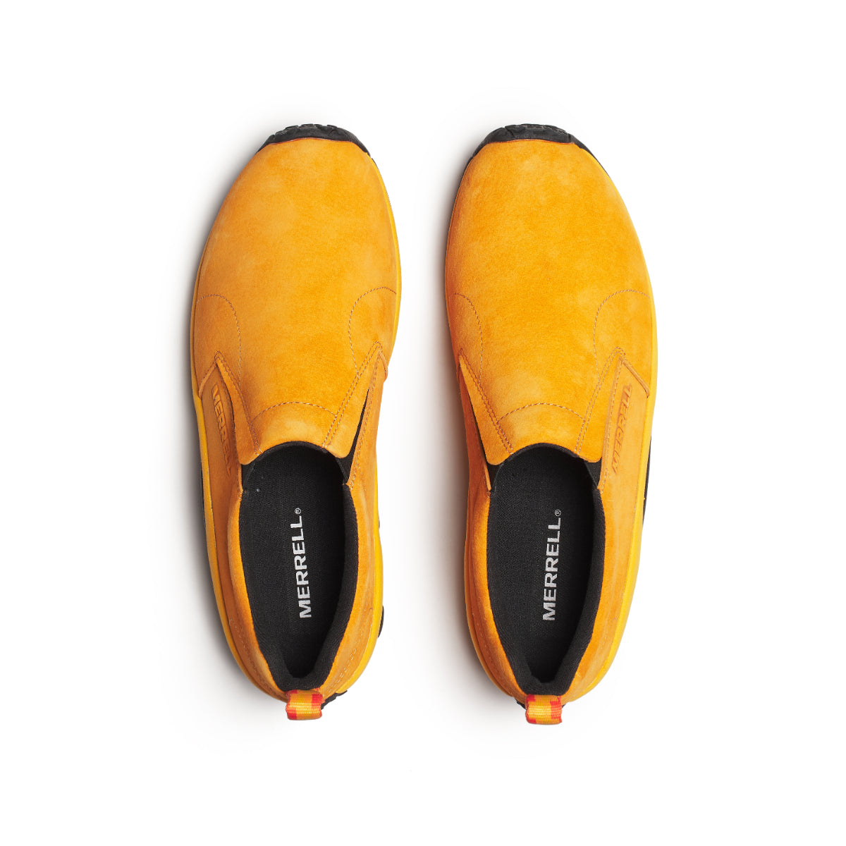 #カラー_ARISE アライズ