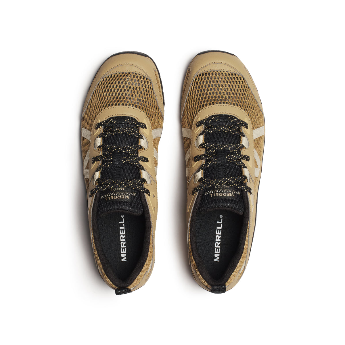 #カラー_BEAVER ビーバー