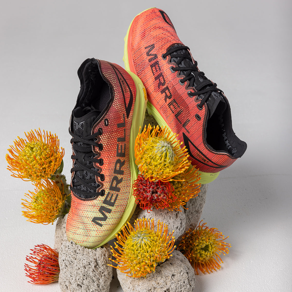 #カラー_BLOSSOM/CRIMSON ブロッサム/クリムゾン