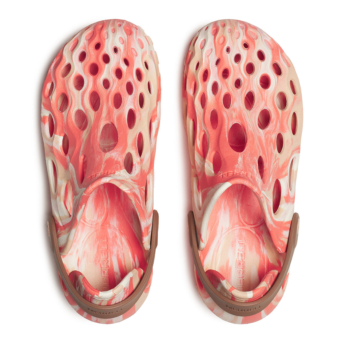 #カラー_ BLOSSOM ブロッサム