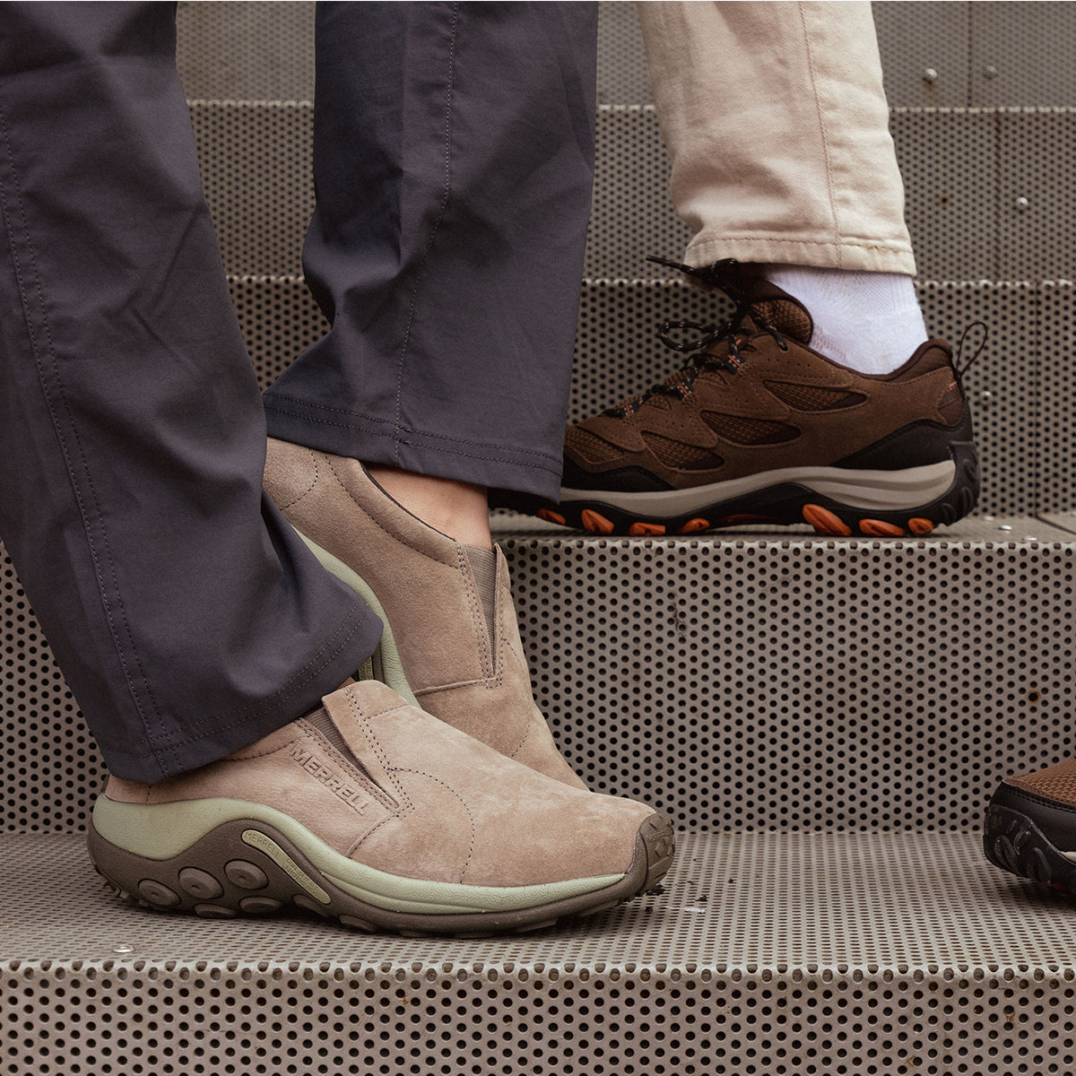 #カラー_BRINDLE/TEA ブリンドル/ティー