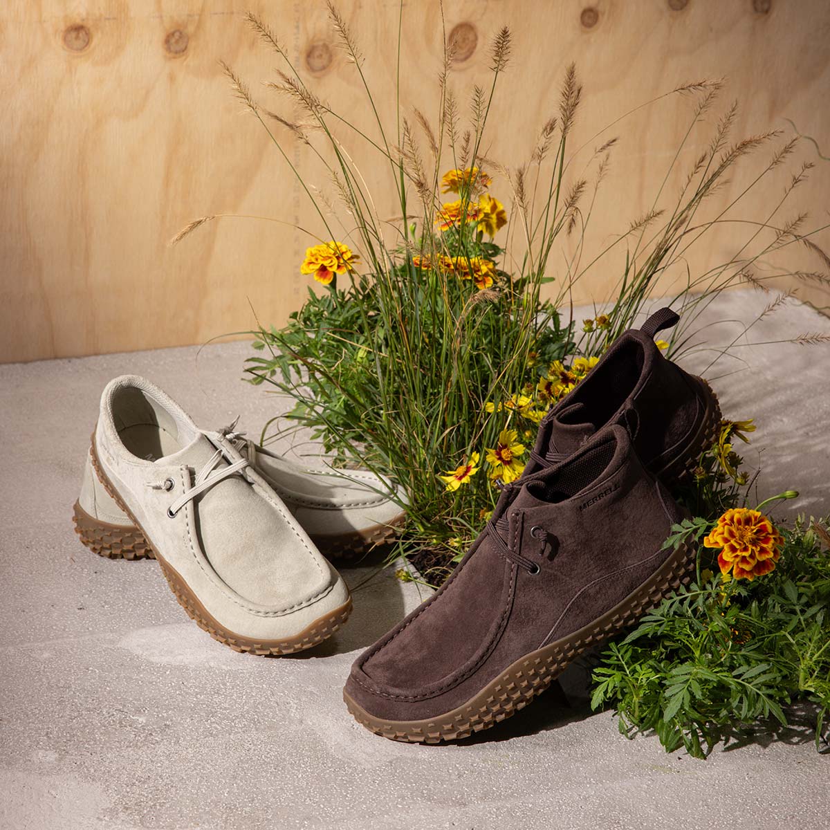 #カラー_COFFEE コーヒー