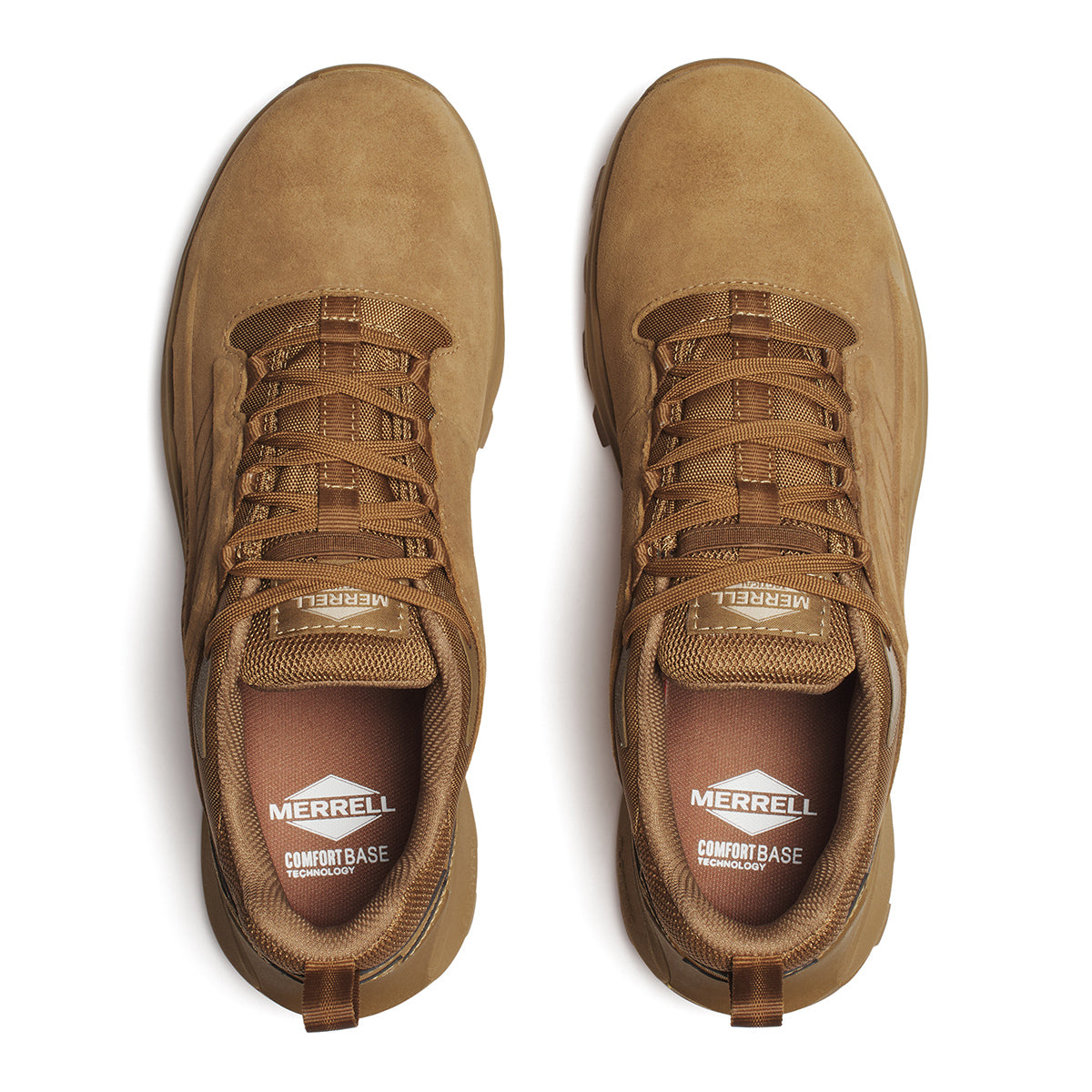 #カラー_ COYOTE コヨーテ