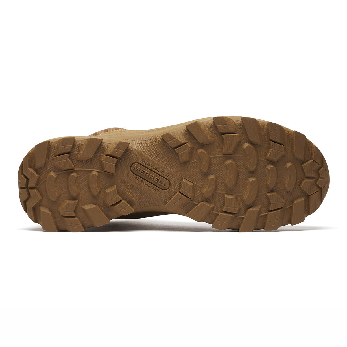 #カラー_ COYOTE コヨーテ