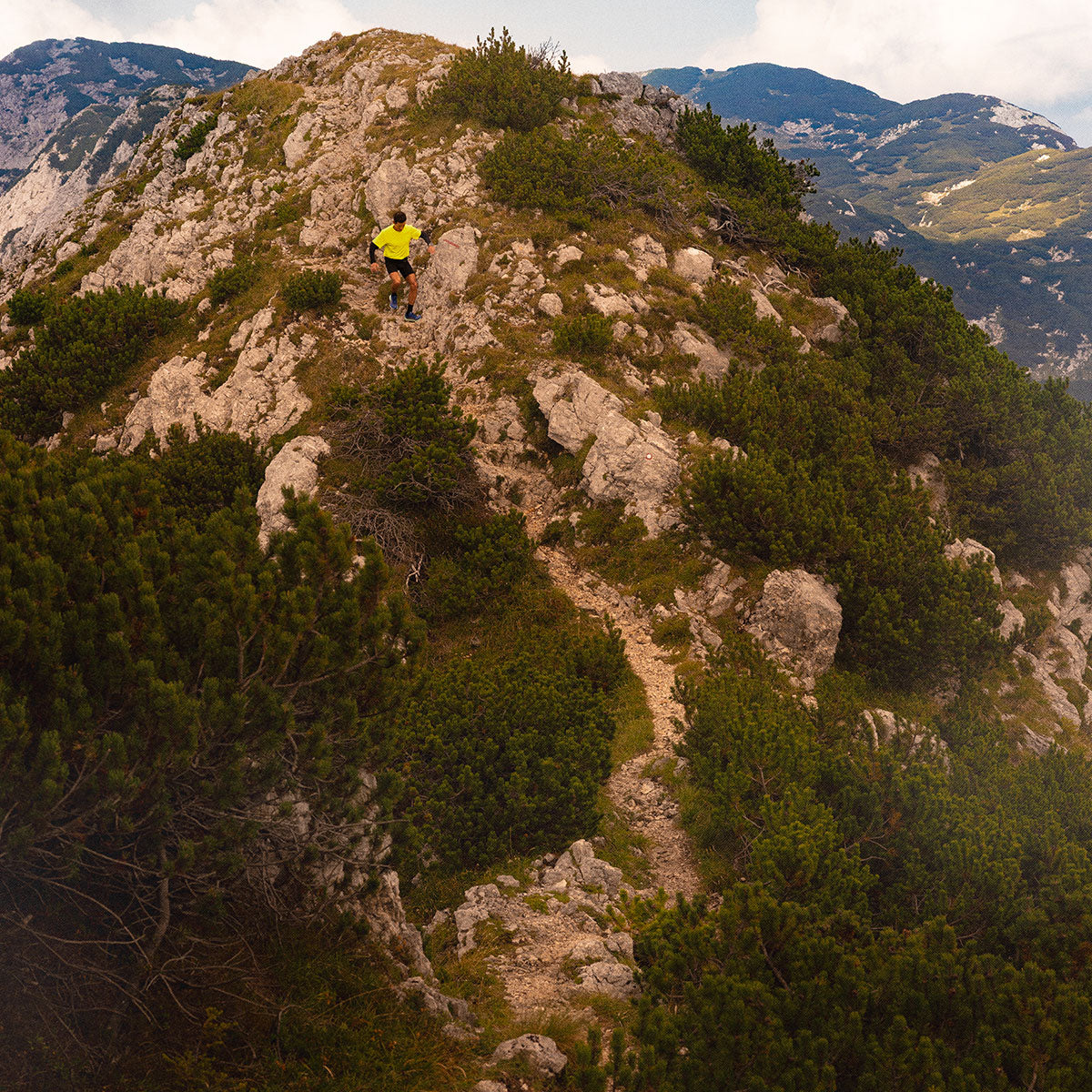 #カラー_DARK BLUE ダーク ブルー