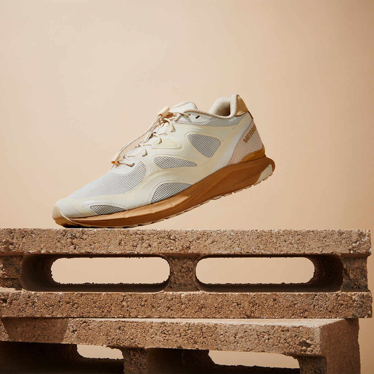 #カラー_LATTE ラテ