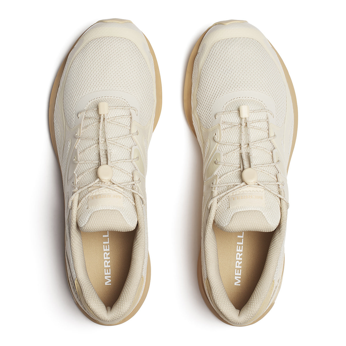 #カラー_LATTE ラテ