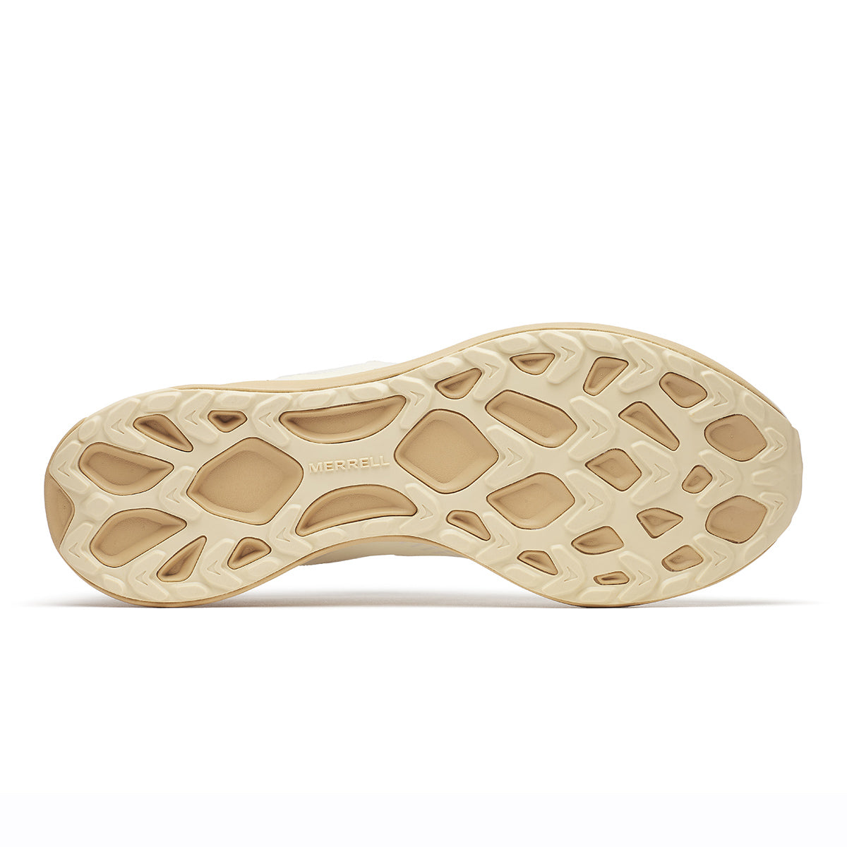 #カラー_LATTE ラテ