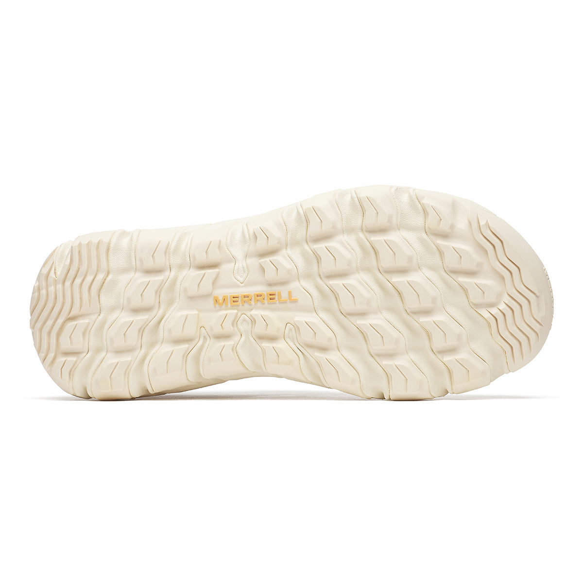 #カラー_ LATTE ラテ