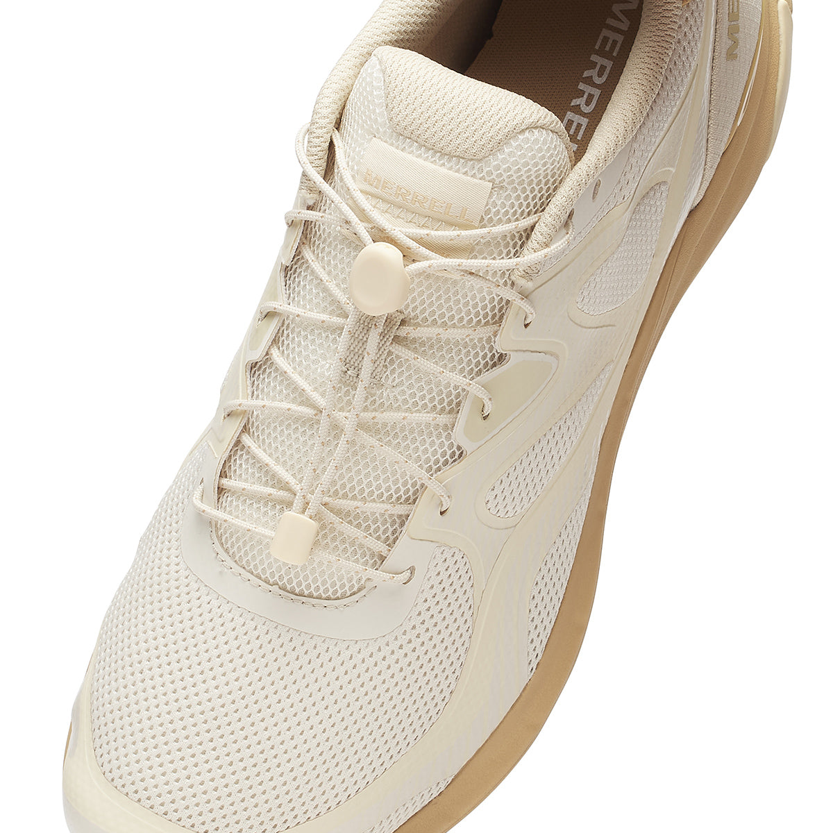 #カラー_LATTE ラテ