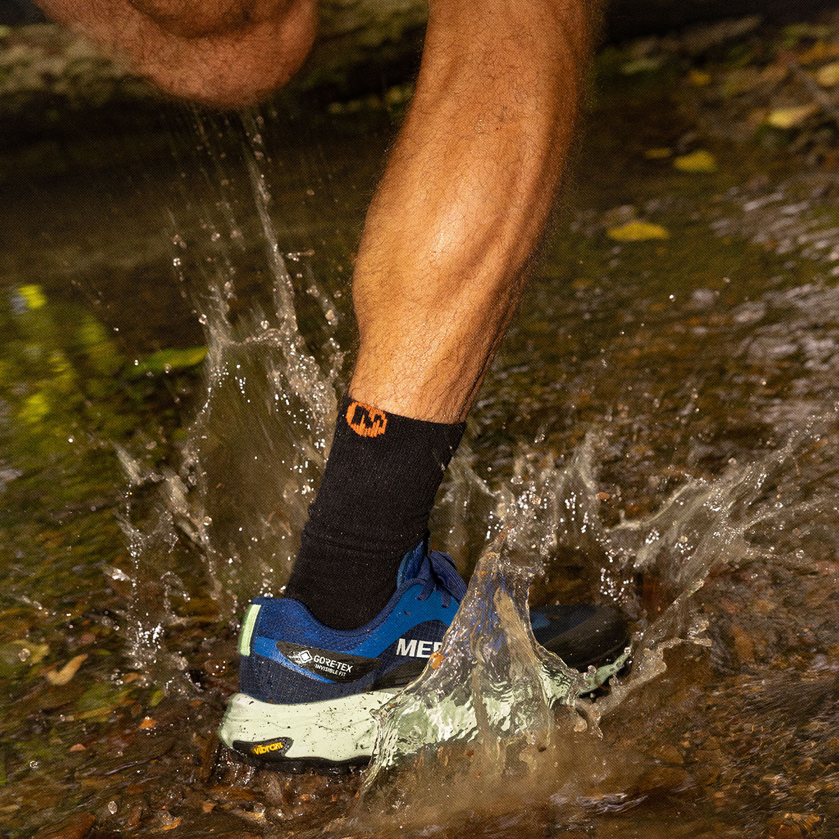 #カラー_MARIANA マリアナ