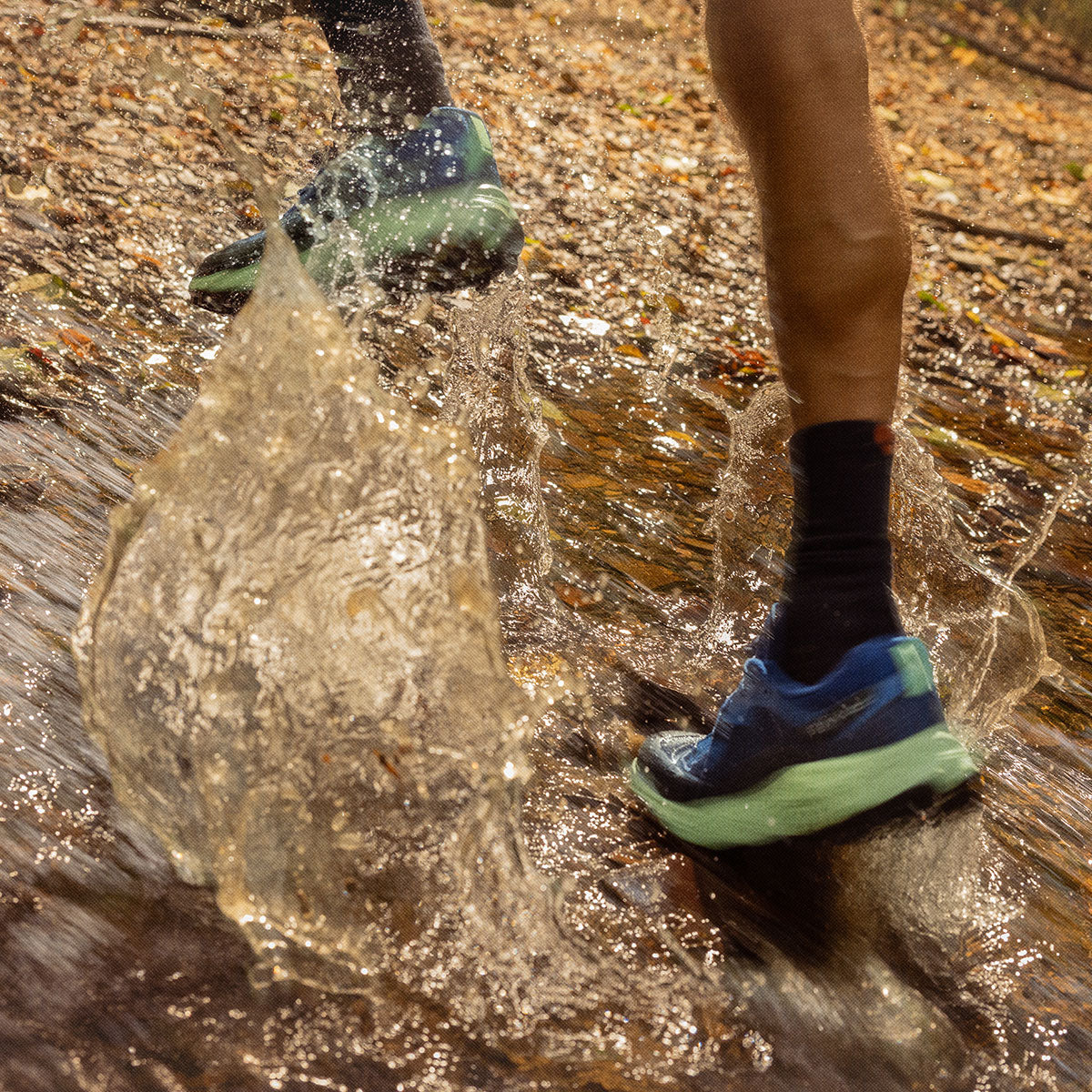 #カラー_MARIANA マリアナ