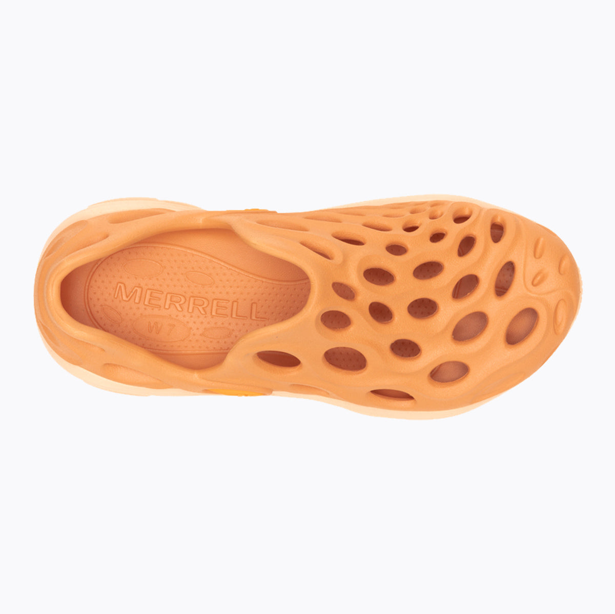 #カラー_MELON メロン