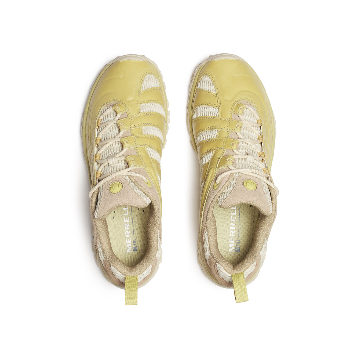 #カラー_NORI ノリ