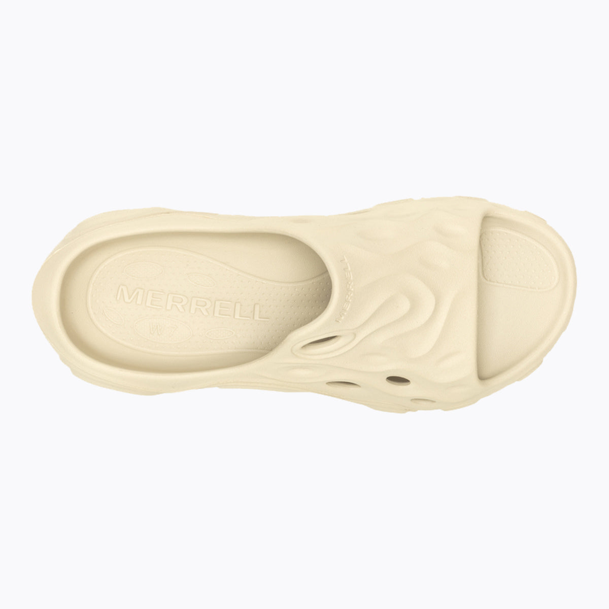 #カラー_OYSTER オイスター