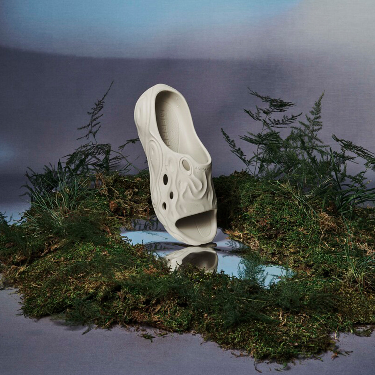 #カラー_OYSTER オイスター