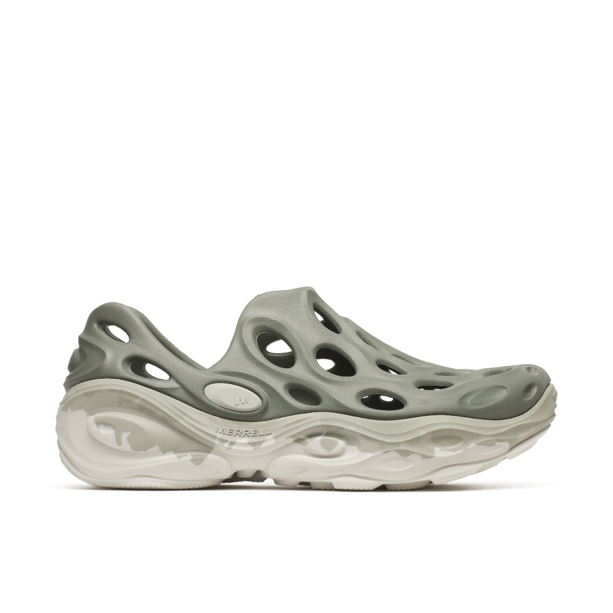 #カラー_PALE IVY ペール アイビー