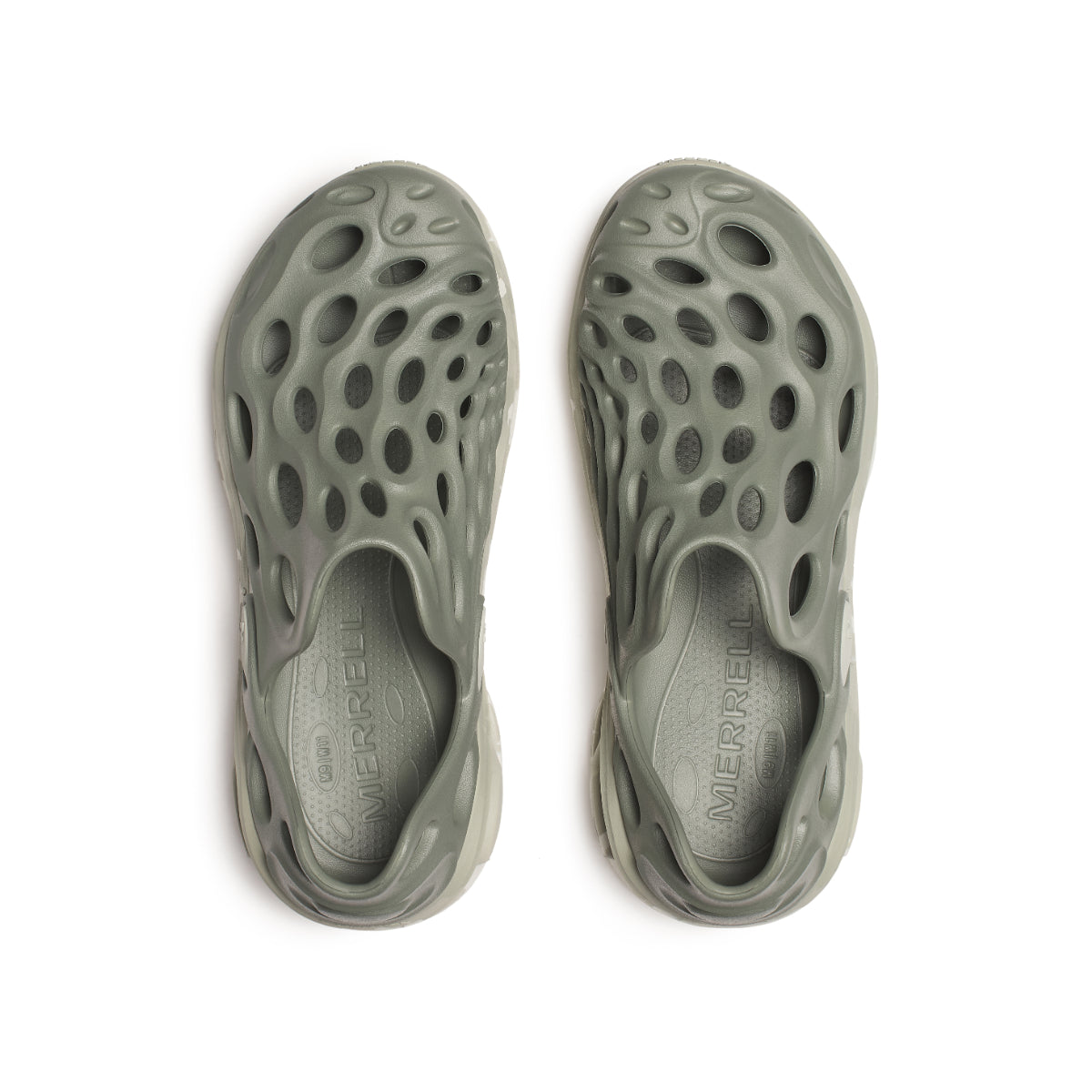 #カラー_PALE IVY ペール アイビー