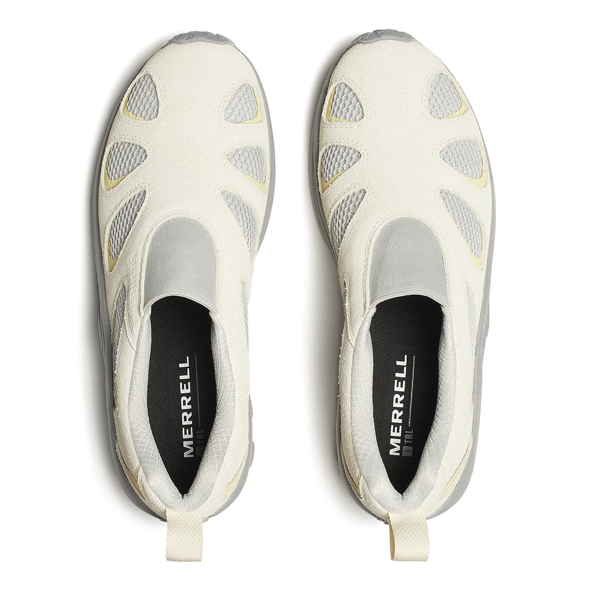 #カラー_PIGEON ピジョン