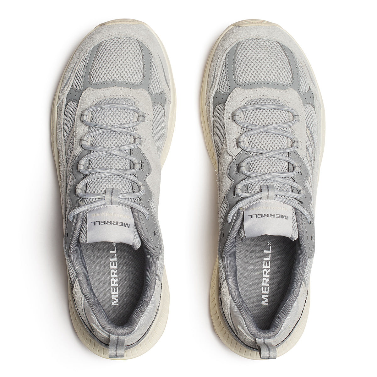 #カラー_PIGEON ピジョン