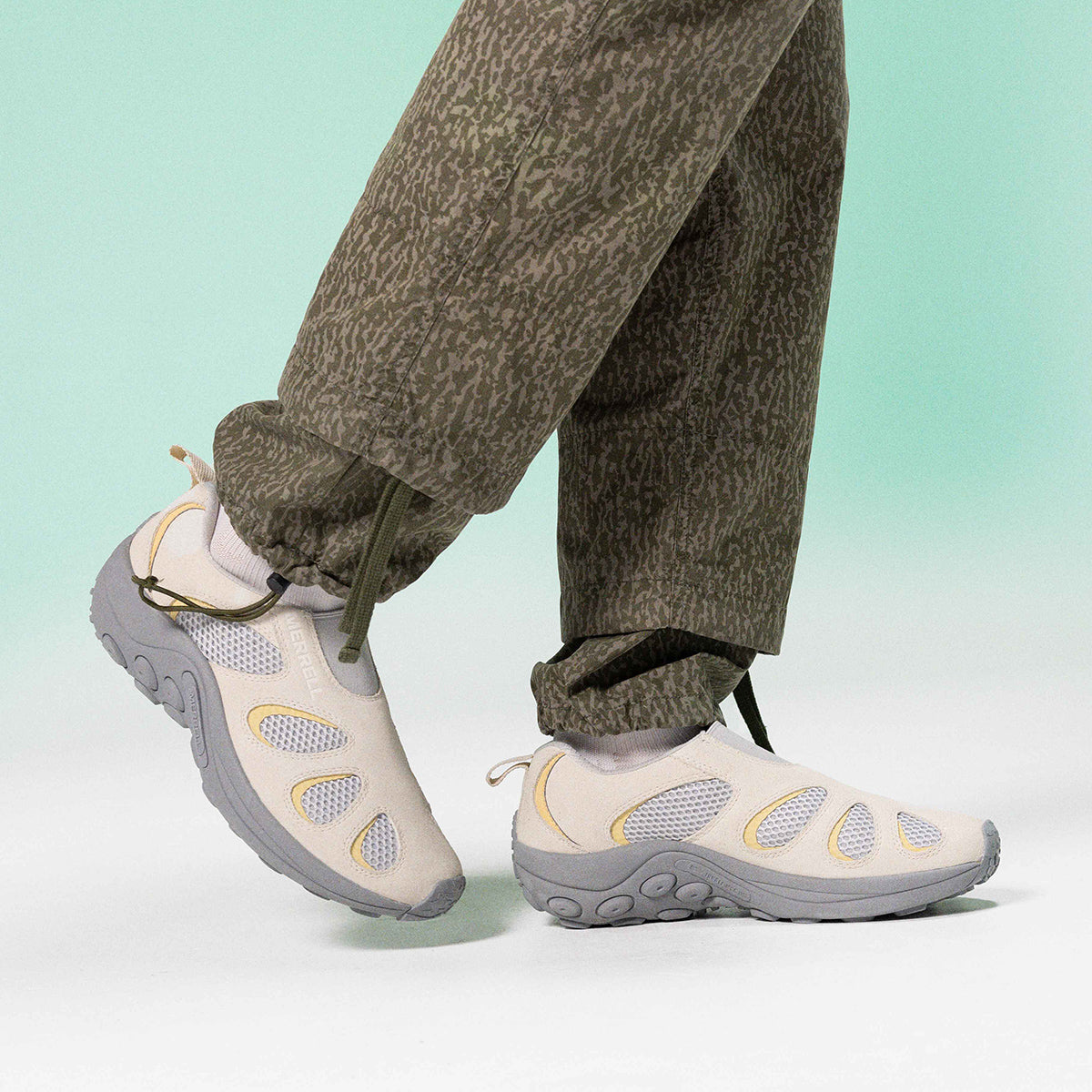 #カラー_PIGEON ピジョン