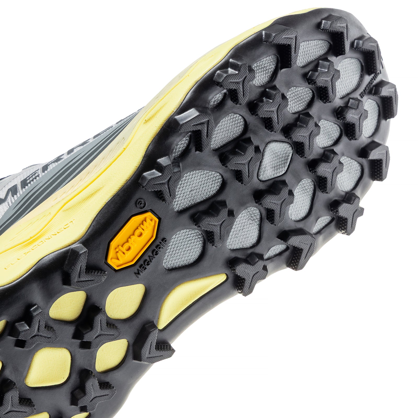 #カラー_PIGEON/LIMONE ピジョン/リモーネ