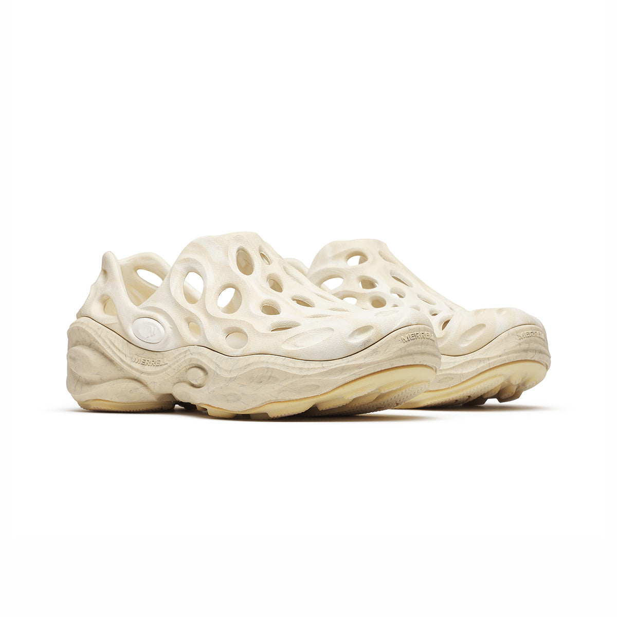 #カラー_POPLAR ポプラ