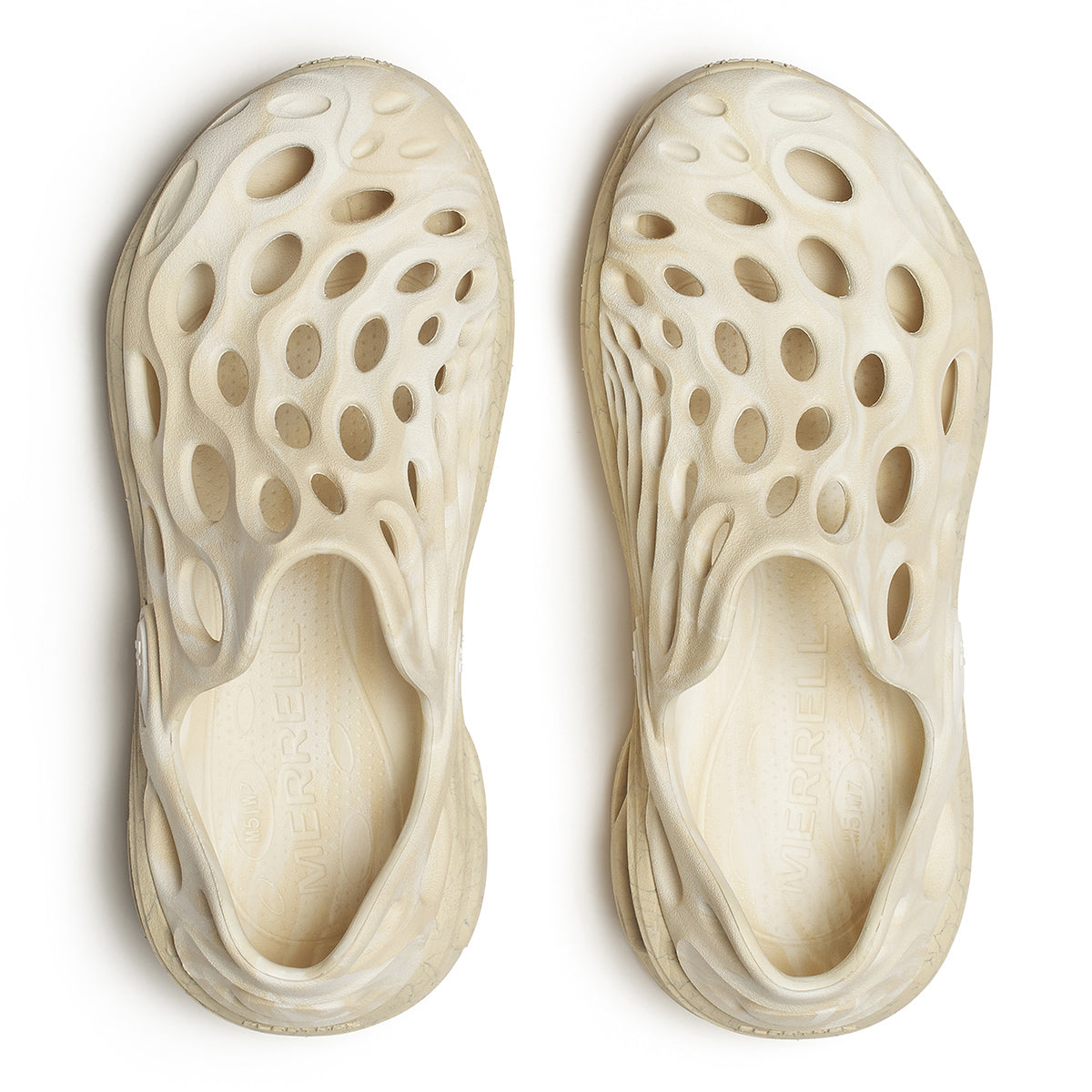 #カラー_POPLAR ポプラ