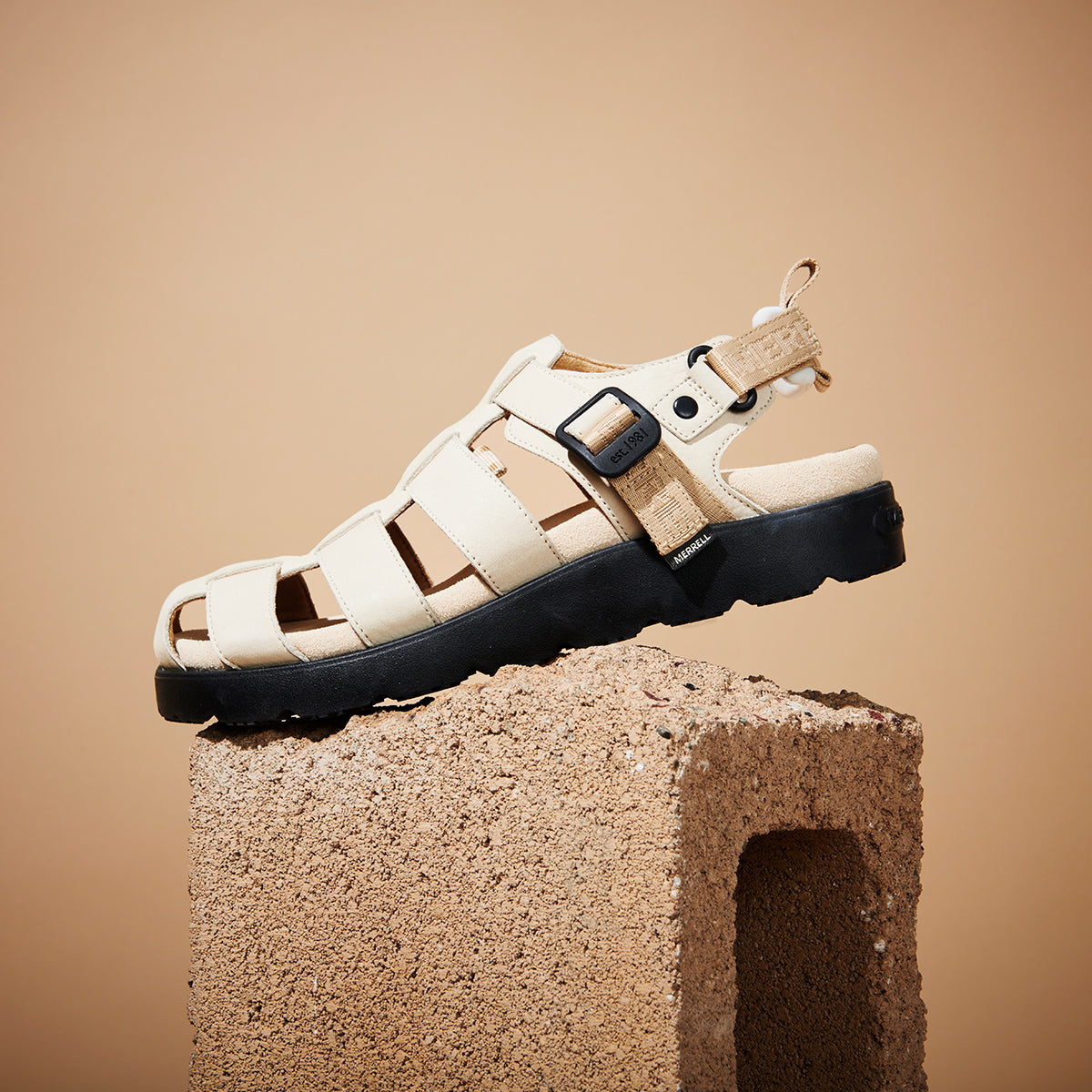 #カラー_ POPLAR/LATTE ポプラ/ラテ