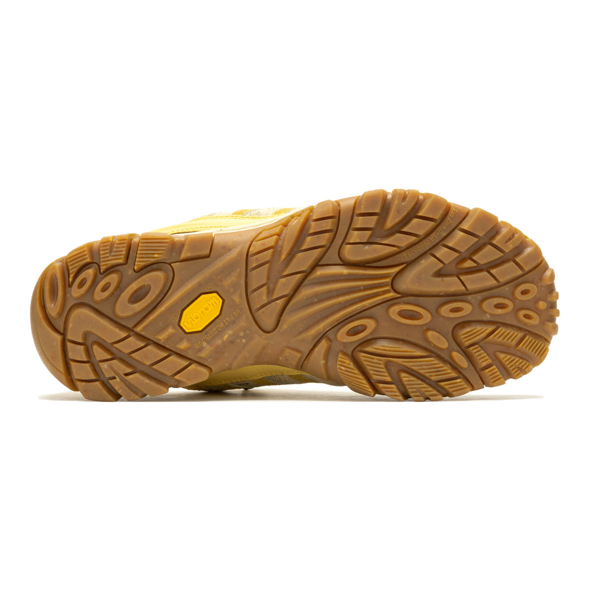 #カラー_ REED リード