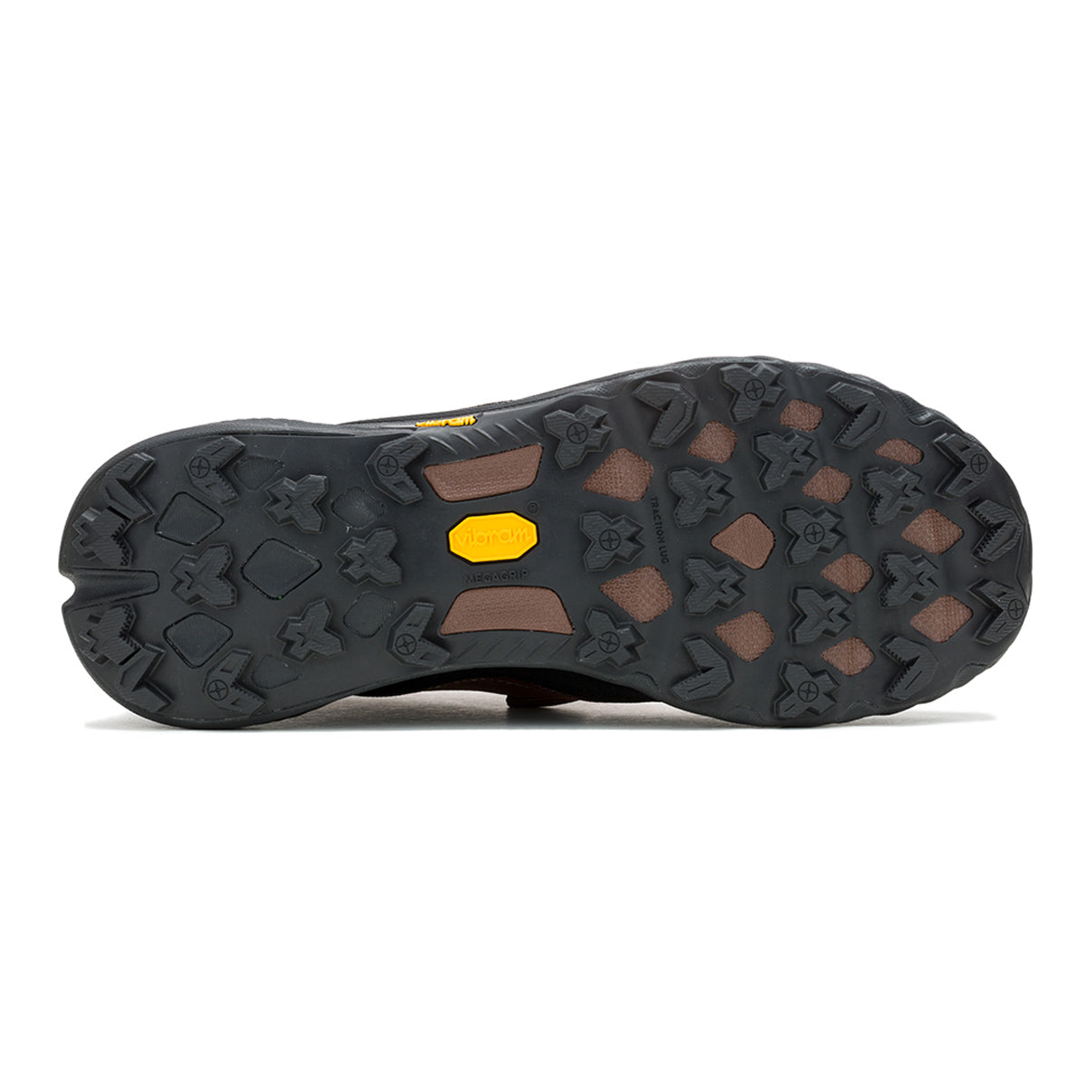 #カラー_RYE ライ