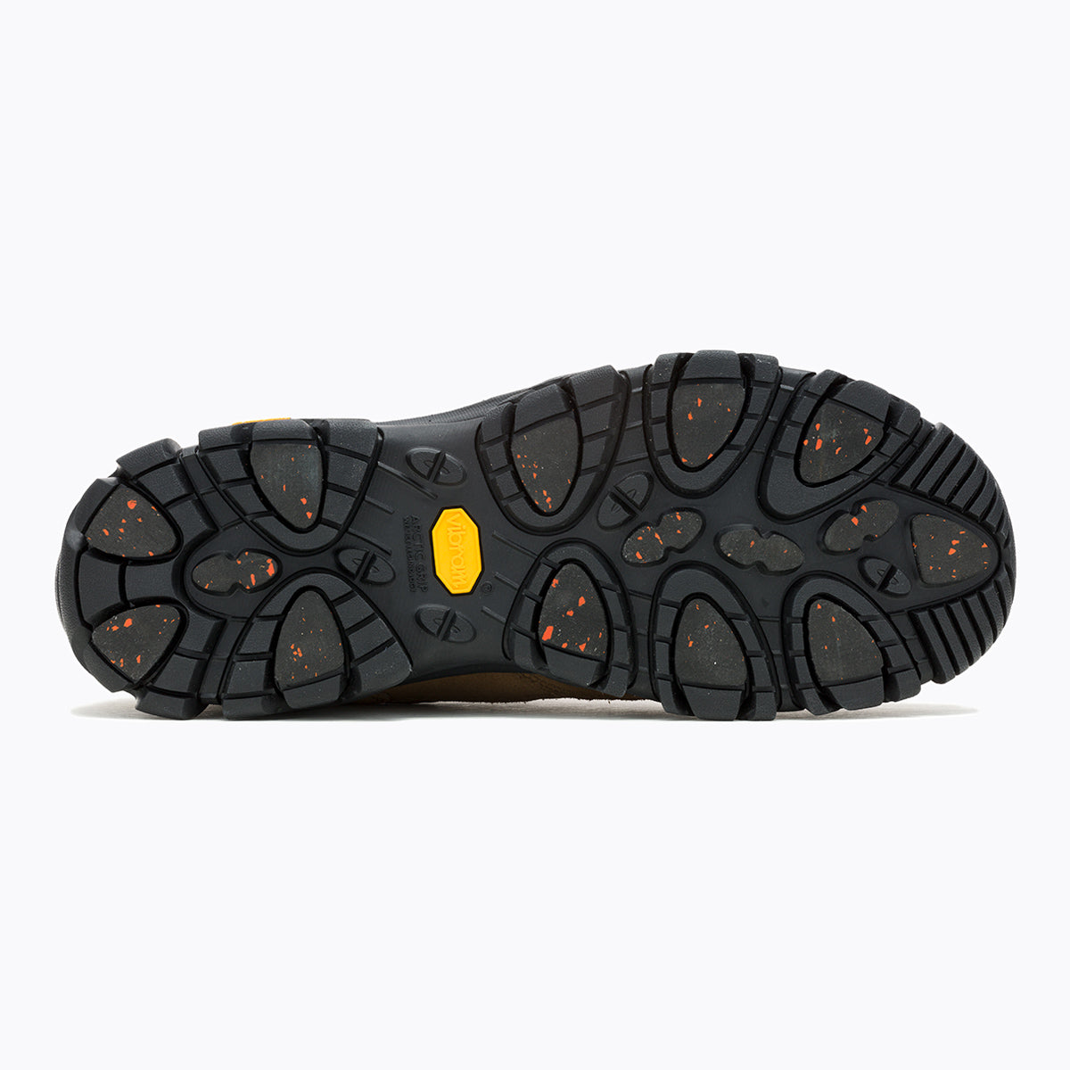 #カラー_RYE ライ