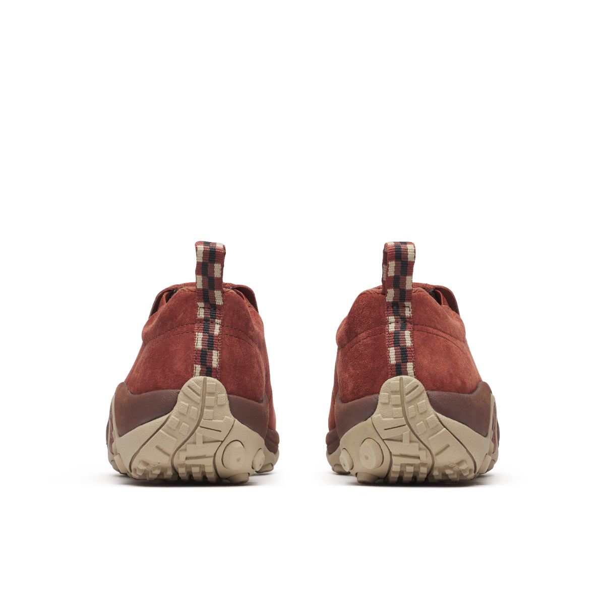 #カラー_SEQUOIA セコイア