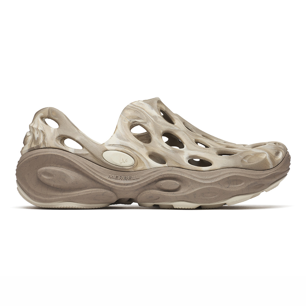 #カラー_SILT シルト