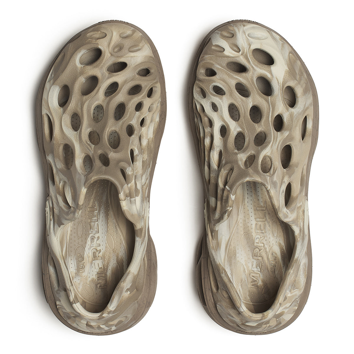 #カラー_SILT シルト