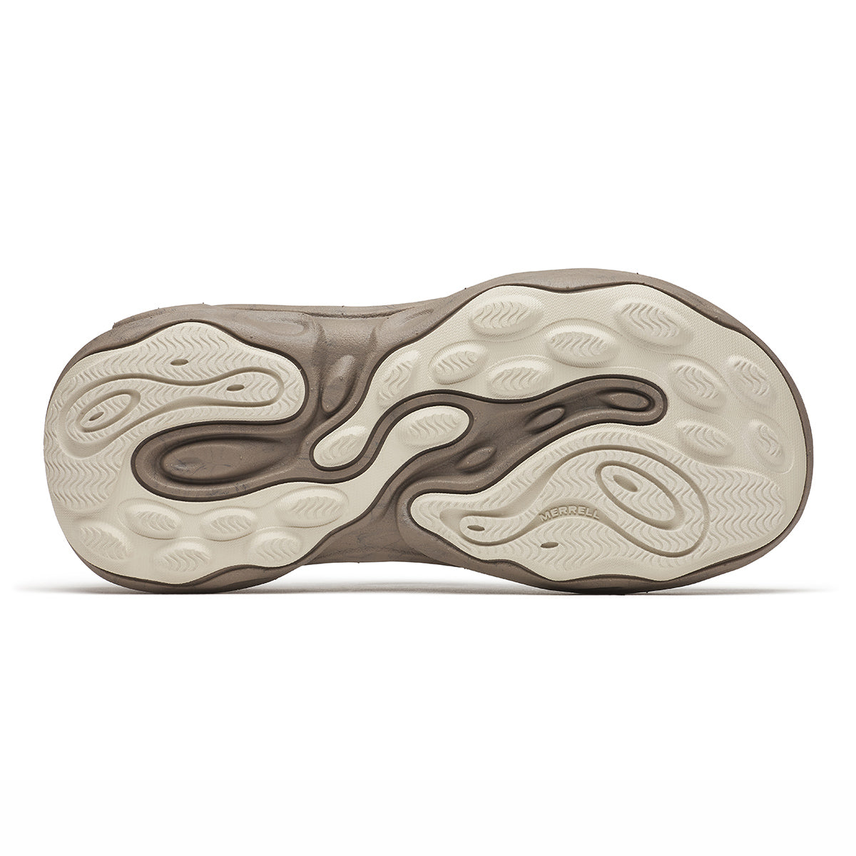 #カラー_SILT シルト