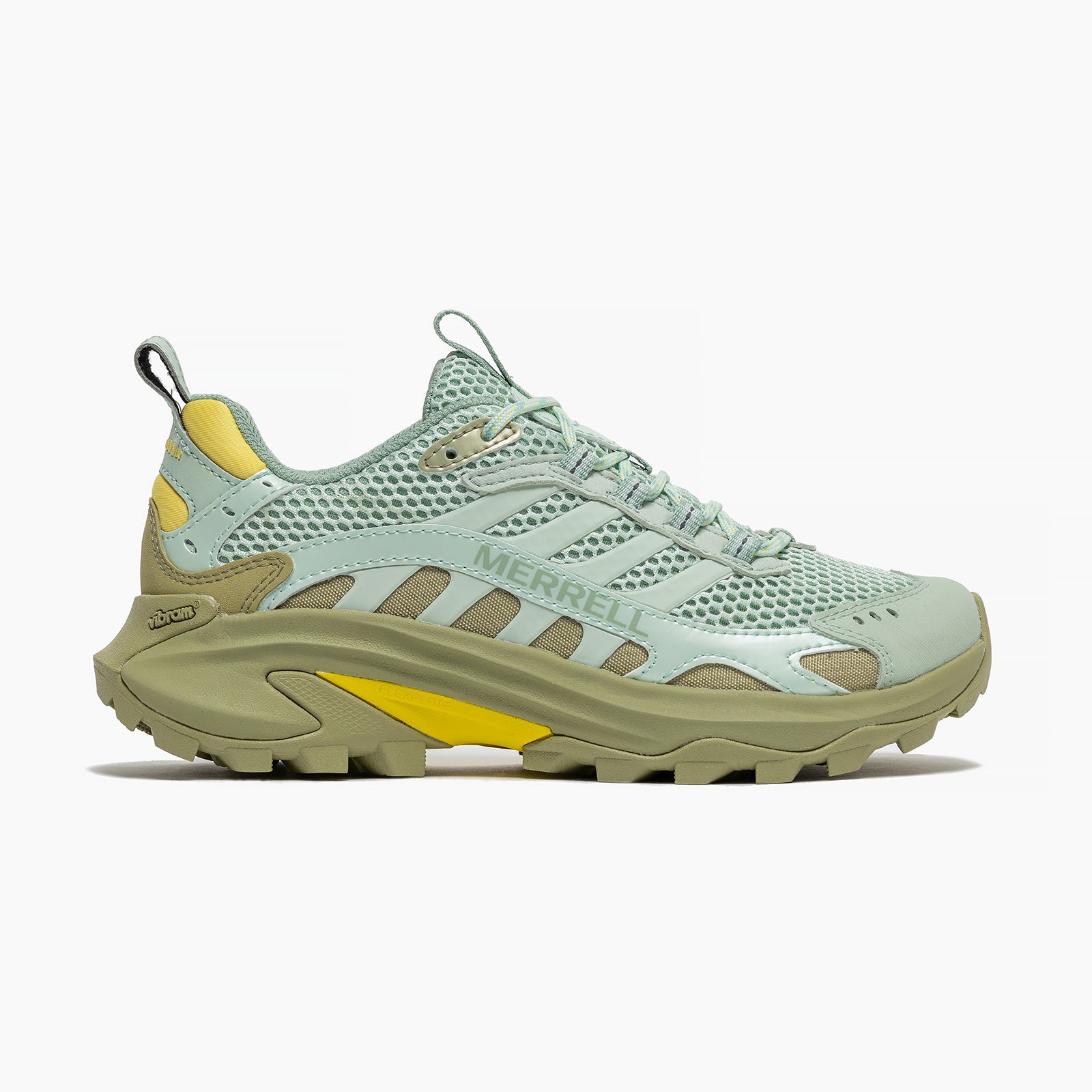 #カラー_SPRIG/BASIL スプリング/バジル