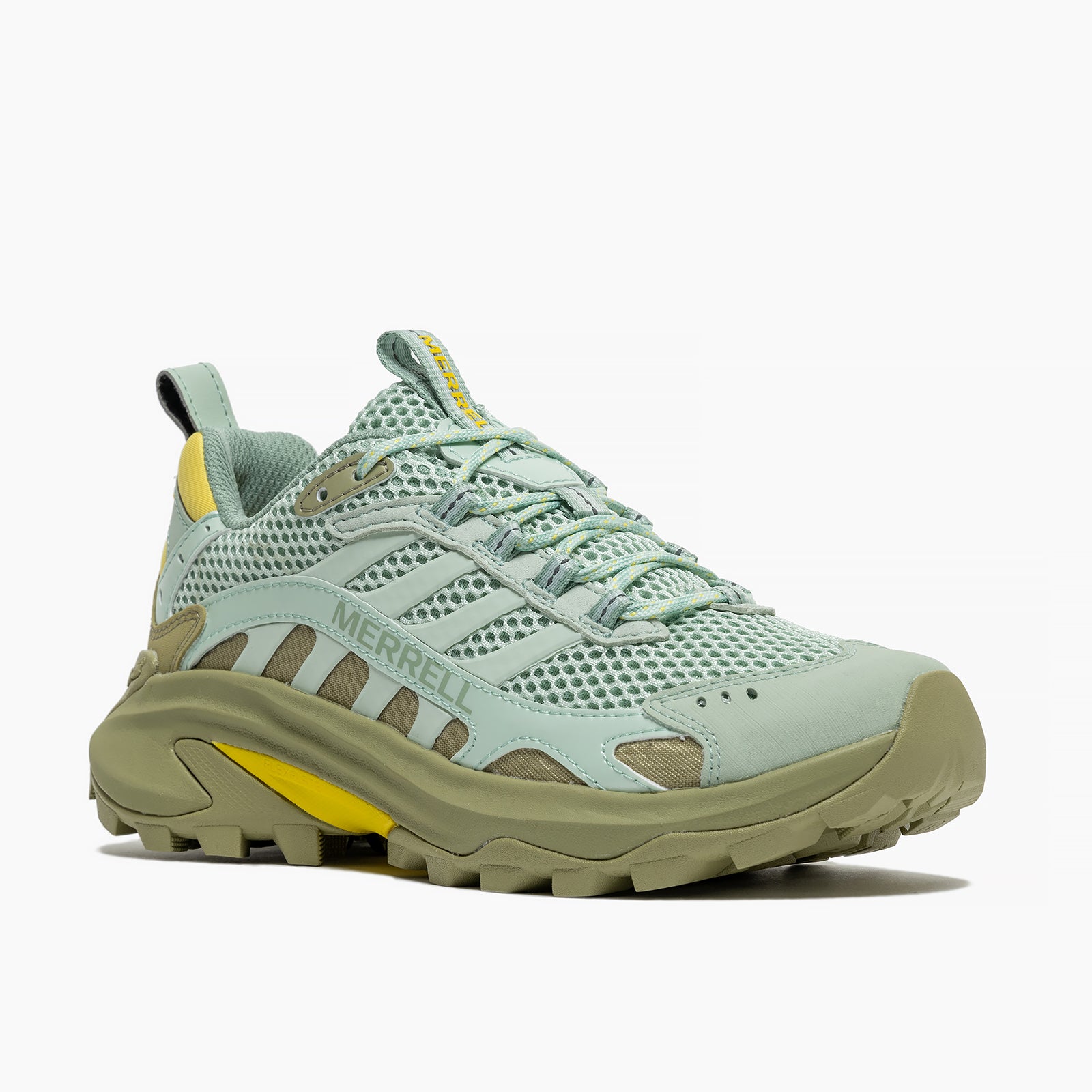 #カラー_SPRIG/BASIL スプリング/バジル