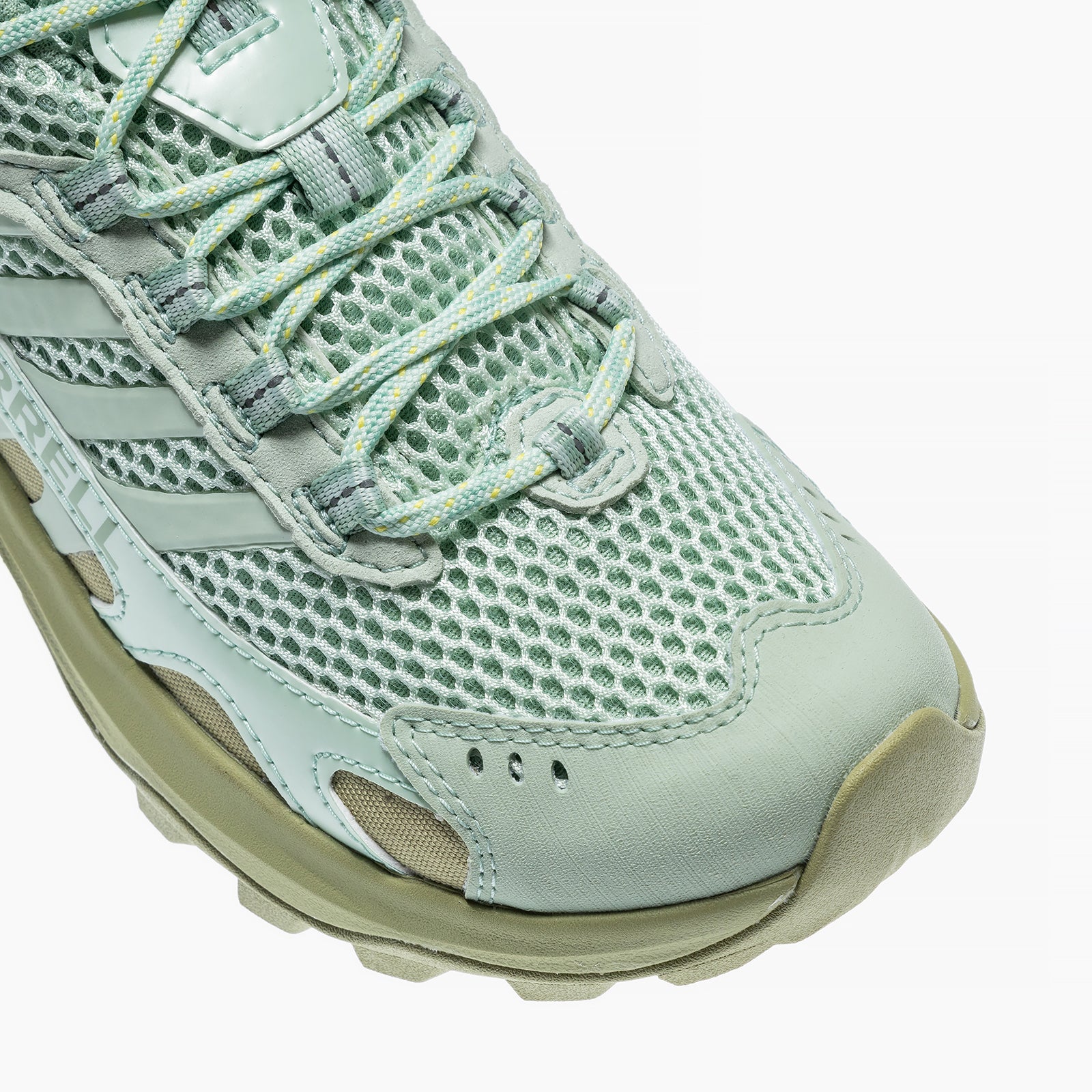 #カラー_SPRIG/BASIL スプリング/バジル