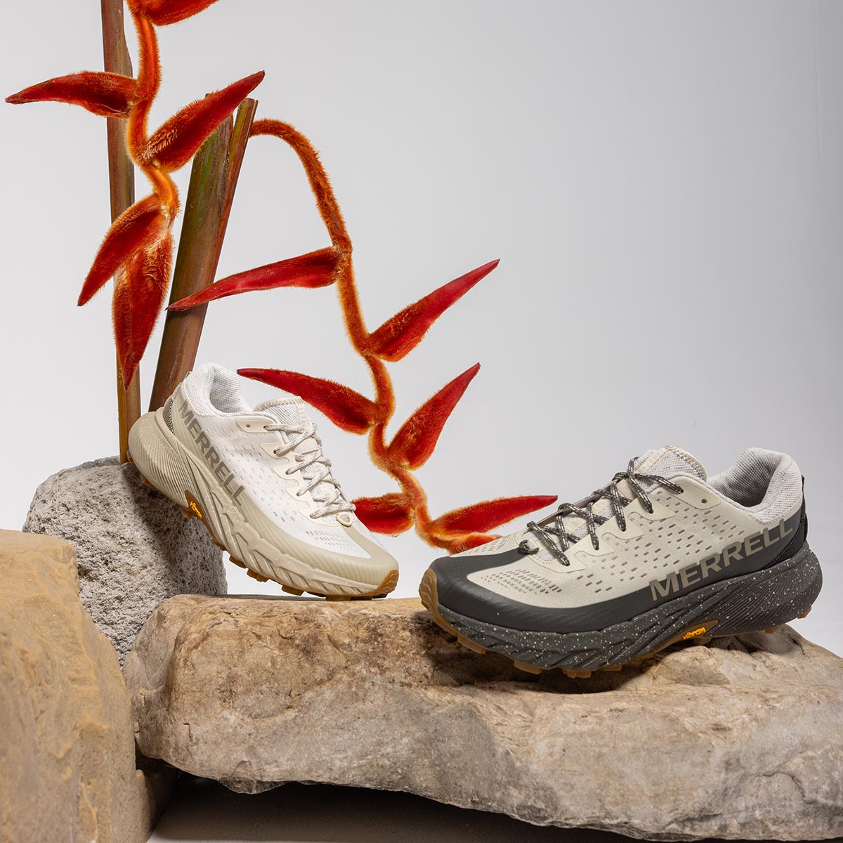 #カラー_STUCCO/BELUGA スタッコ/ベルーガ