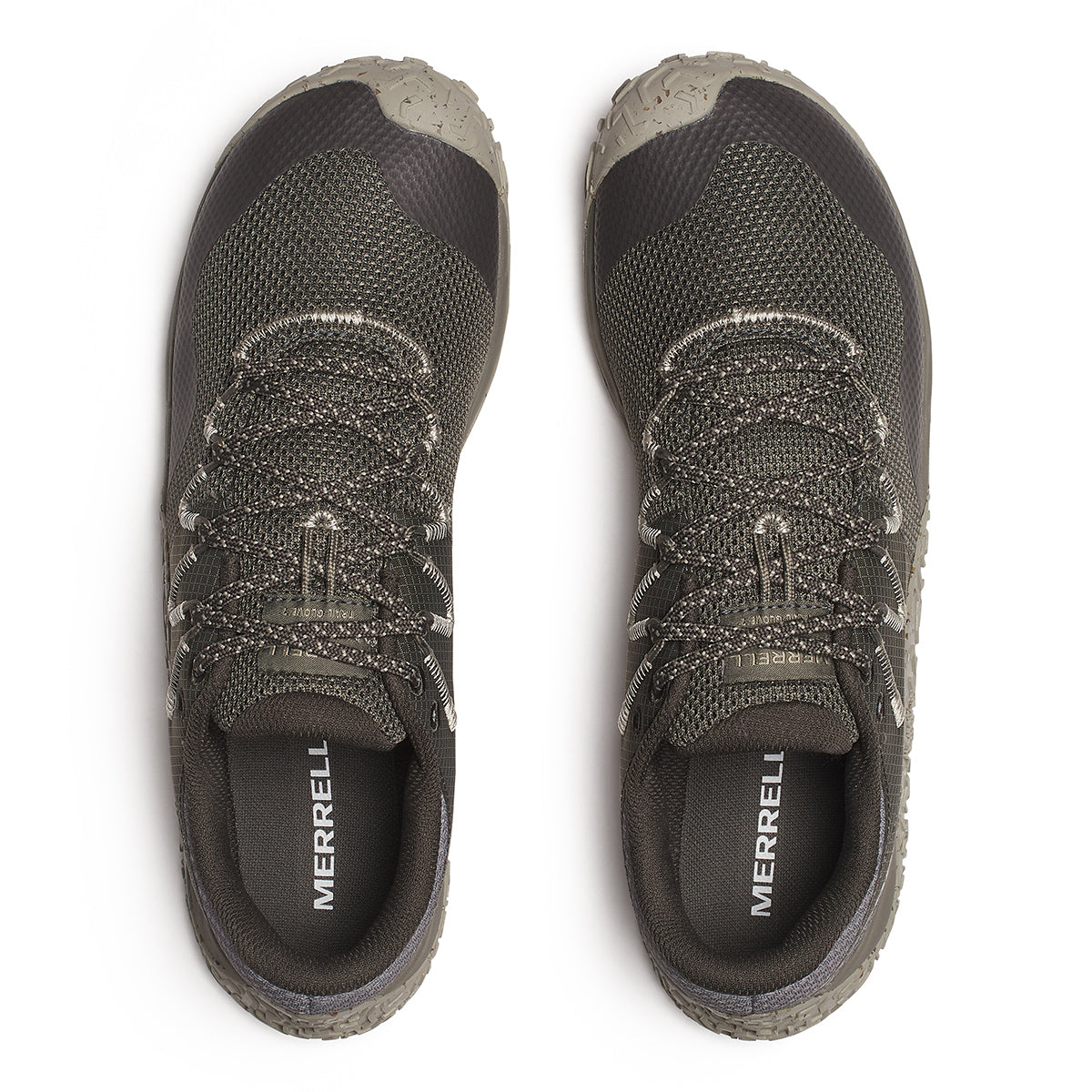 #カラー_TALUS テイラス