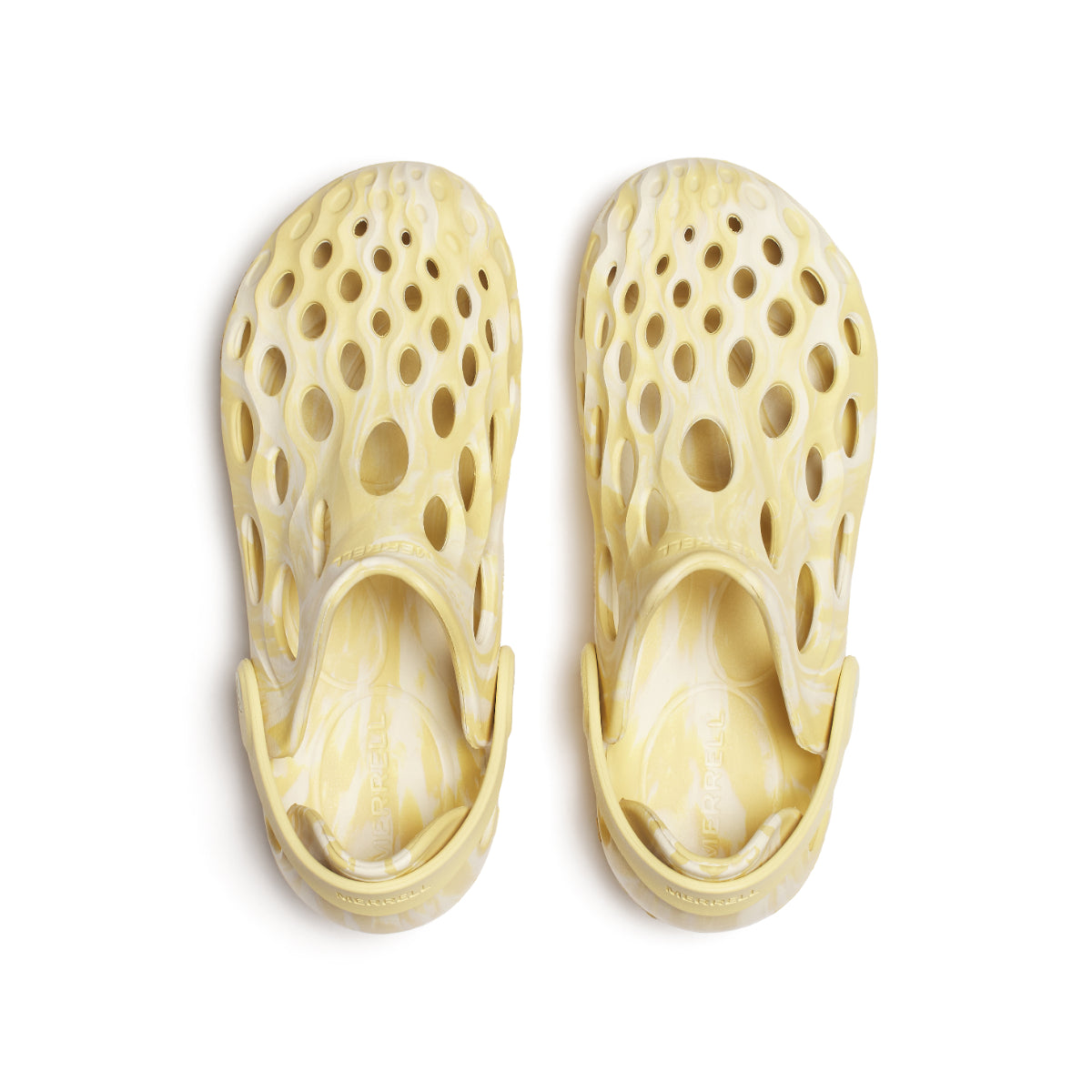 #カラー_ TURMERIC ターメリック